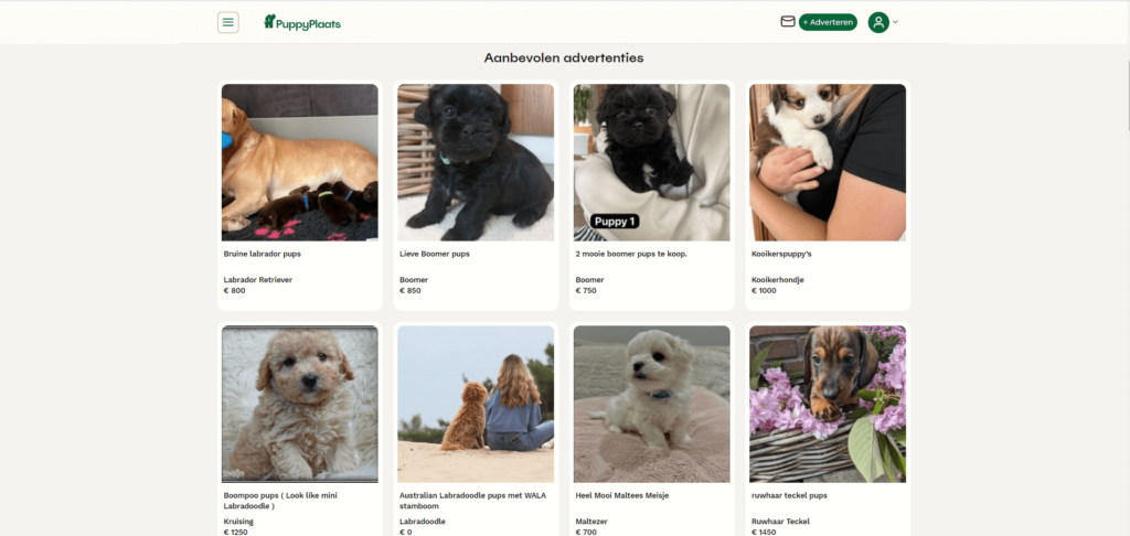 Free Netherlands Pet Classified Sites