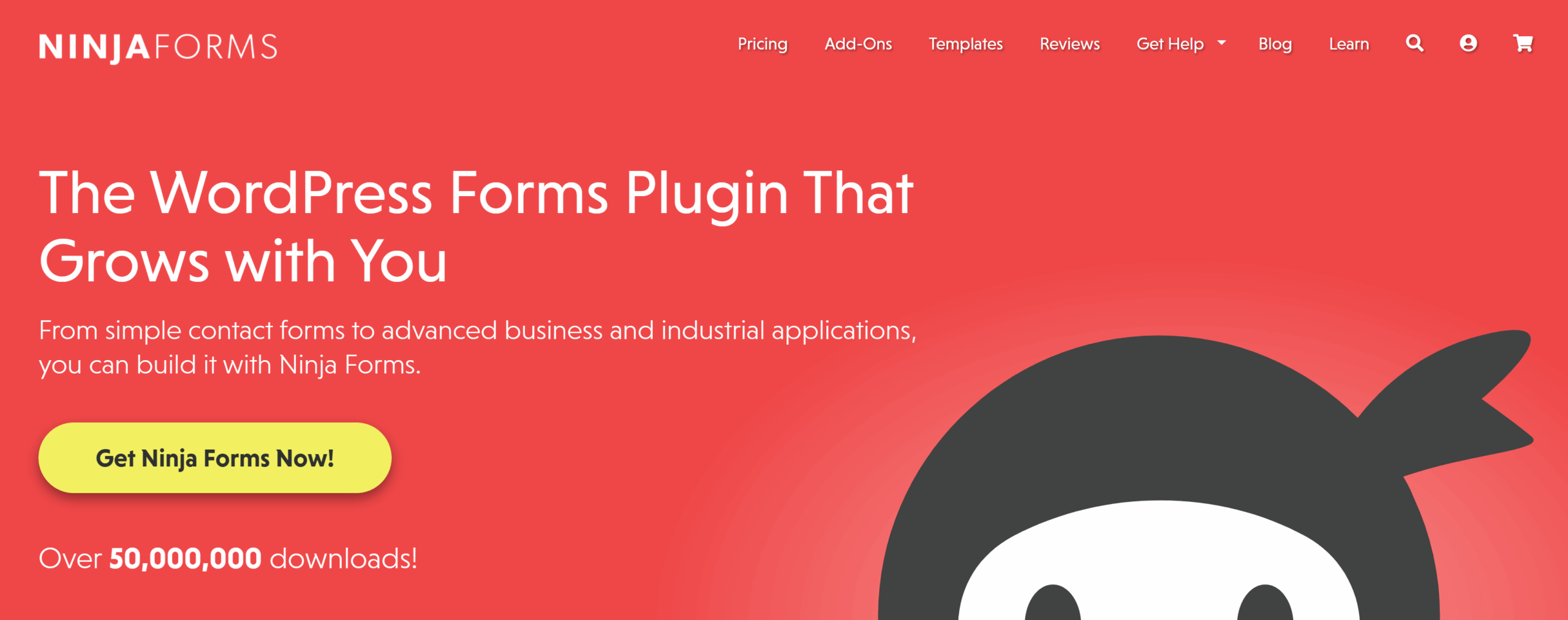 Typeform Alternatives for directory websites