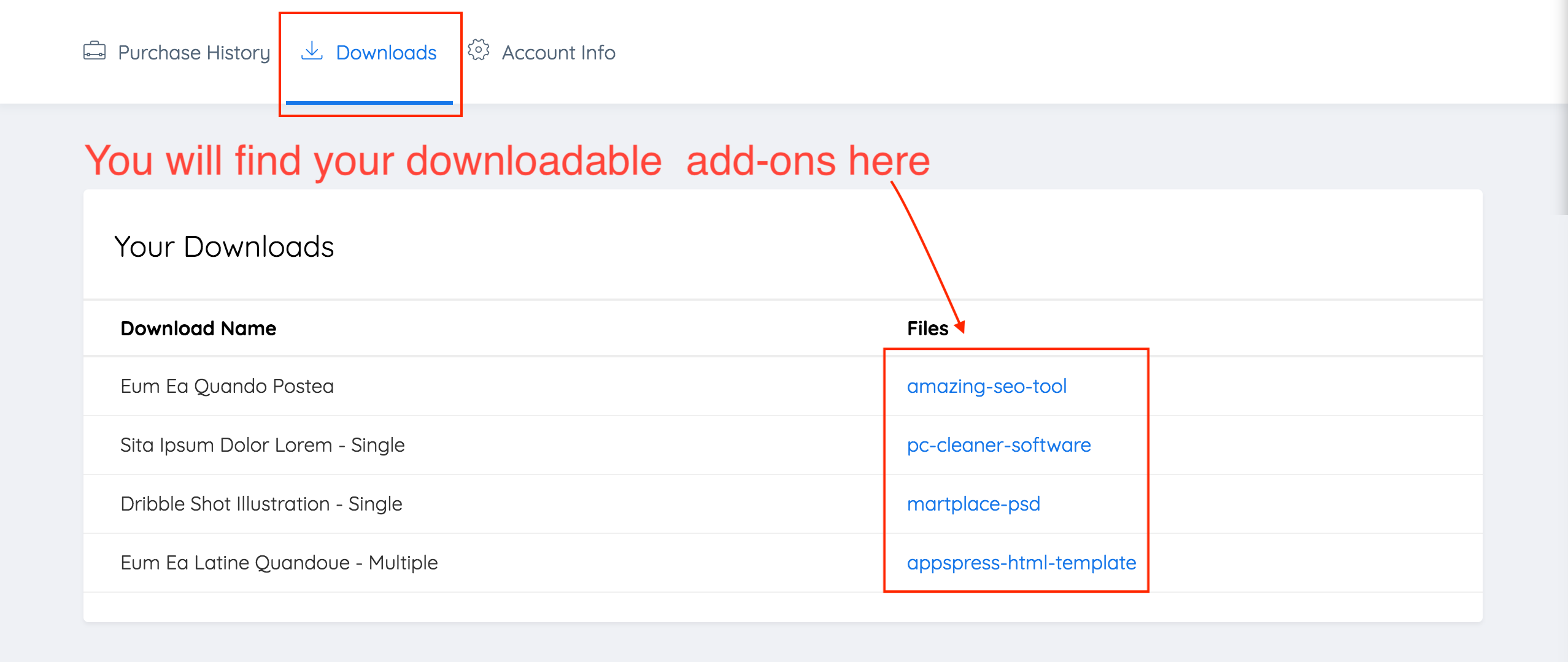 Customer dashboard downloads