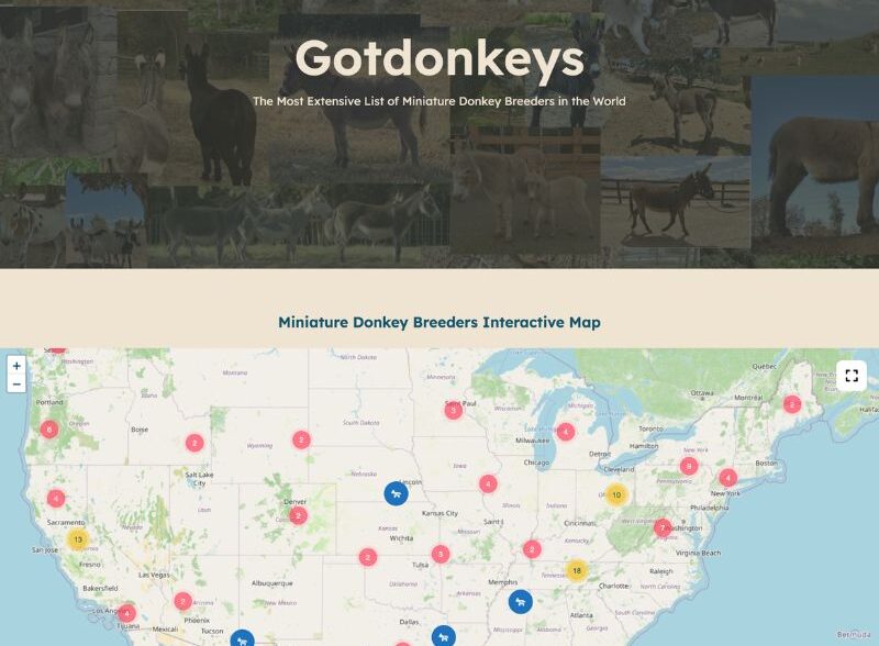 Gotdonkeys